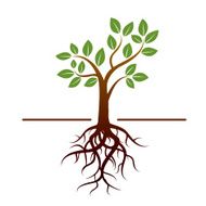 Vector tree green leafs and roots N3