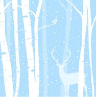Winter Woods