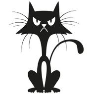 Displeased Black Cat