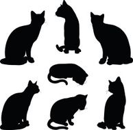 cat silhouette in sitting pose N14