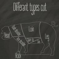 different cut of pork