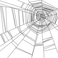 Black spider web isolated on the white background