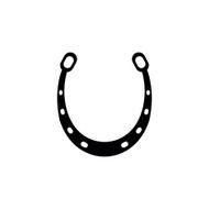 Horseshoe illustration N8