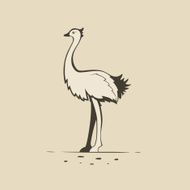 illustrations ostrich on a light background Vector logo