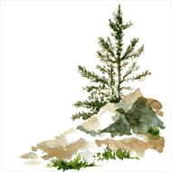 pine trees and rocks N2