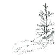 pine trees and rocks N3