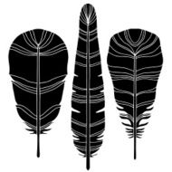 Hand drawn bird feathers