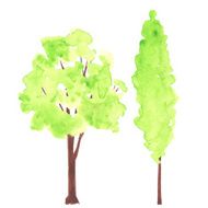 Green Trees N4