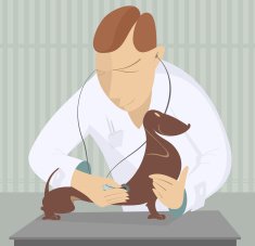 Veterinarian N3