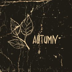 autumn leaf background N44