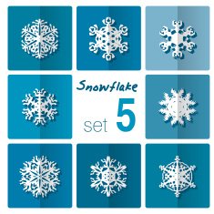 Snowflake icon Winter theme snowflakes of different shapes N31