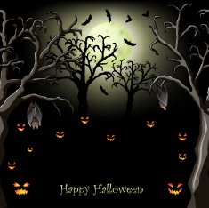 Halloween night with pumpkins - background place for text N2