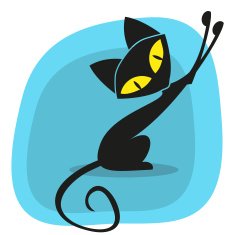 Black Cat N50
