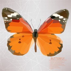 Butterfly vector background (icon)