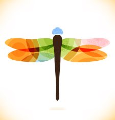 Vector multicolor isolated dragonfly Beauty insect N2