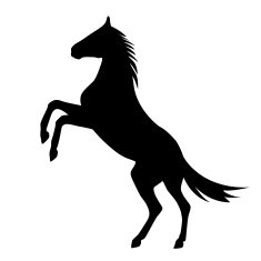 rearing up horse N3