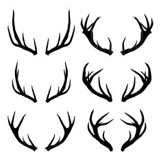 vector deer antlers collection N2