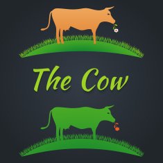 Label cow on the lawn