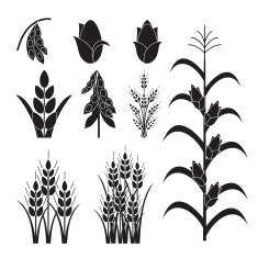 Simple Agricultural Crops Icons