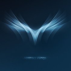 Abstract wings N2