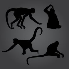 monkey shadows silhouette set eps10