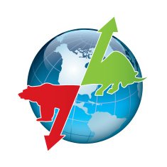 Bull market and bear N4