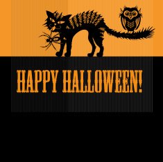 Scary halloween with cat owl and spider
