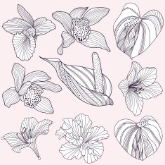 Set of vector tropical flowers N3