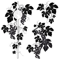 Wine Pipette & Grapevine Decoration