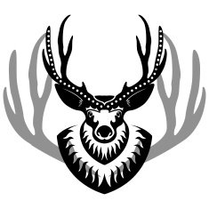 decurated deer head isolated