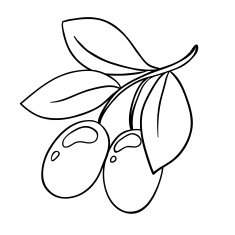 vector olive branches silhouette isolated on white N3