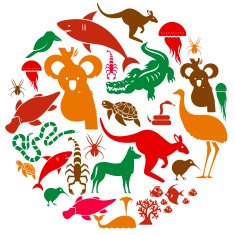 Australasian Animal Icon Set