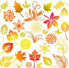 Fall set N2