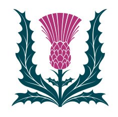 Simple Stencil Style Scottish Thistle Vector Illustraion Isolated on White