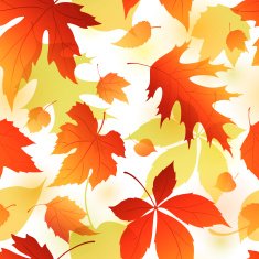 Autumn leaves seamless pattern N40