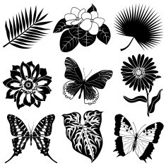 tropical plants and butterflies