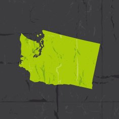 Detailed map of washington state grunge style