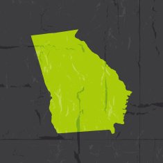 Detailed map of Georgia state grunge style