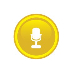 microphone icon web N30