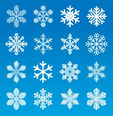 Set of 16 vector image snowflakes