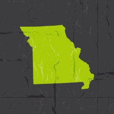 Detailed map of Missouri state grunge style