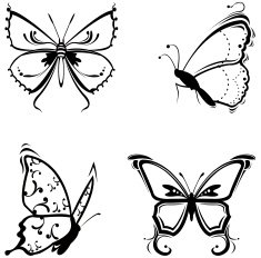 Butterfly Tattoo N11