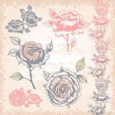 Vintage style Hand-drawn roses N2