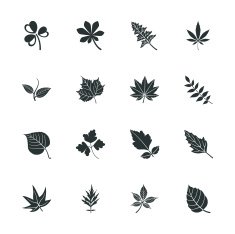 Leafs Shape Silhouette Icons