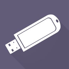 Usb flash drivo web icon N2