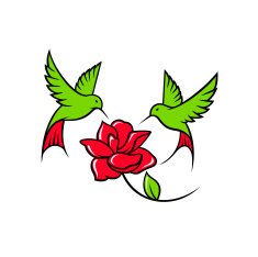 hummingbird sign N11