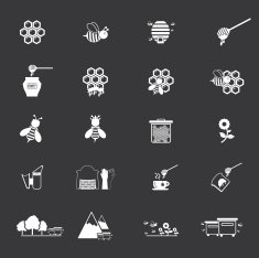 Bee and Honey Icon Set N7