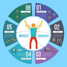 Workout training infographics N2
