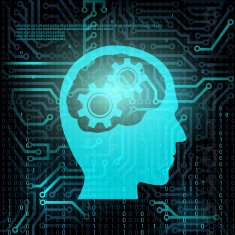 Human Head With Gears N3