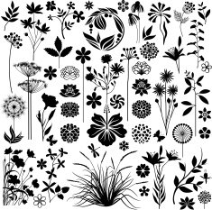 Plants and flowers collection